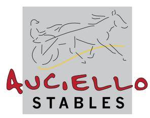 Auciello Stables