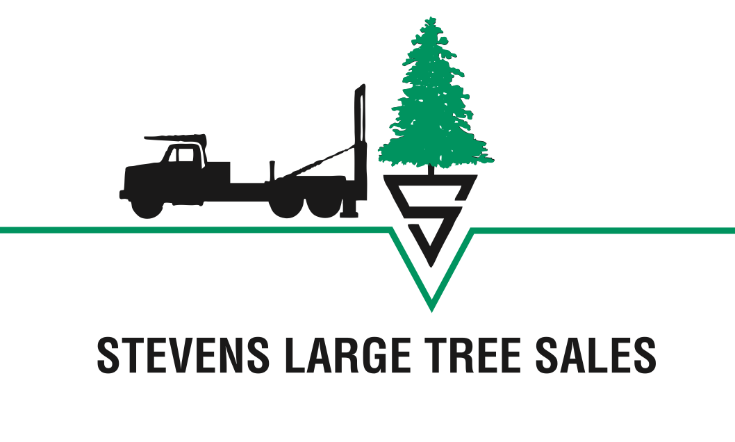 Stevens Large Tree Sales